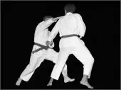 Gyaku-zuki (jodan) executado pelo Prof. L. C. Pares