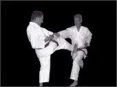 Mae-geri (chudan) executado pelo Prof. L. C. Pares