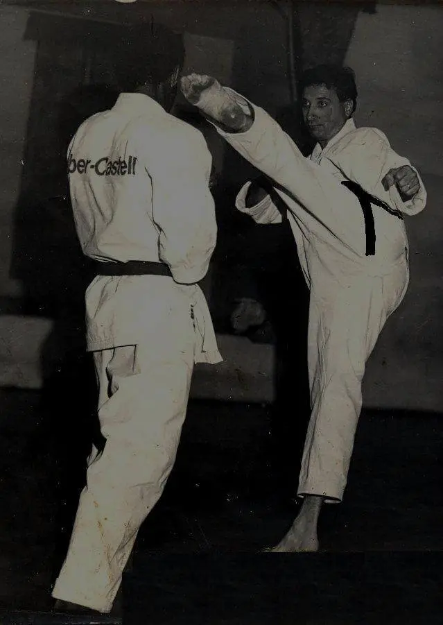 Mawashi-geri (jodan) executado pelo Prof. L. C. Pares