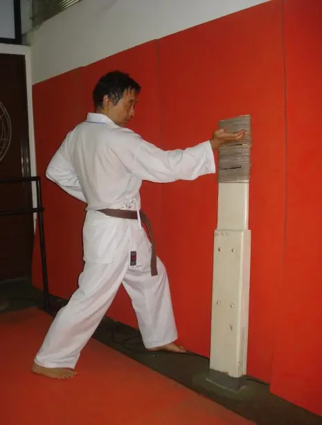 Prof. L. C. Pares quando aluno de karatê, foto 22