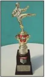 Troféu de karatê